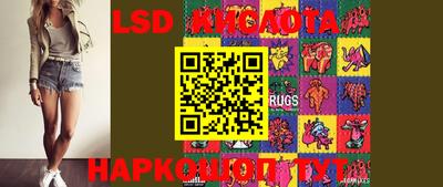 Альфа ПВП Кандалакша