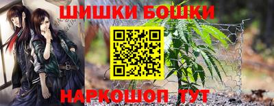Альфа ПВП Кандалакша