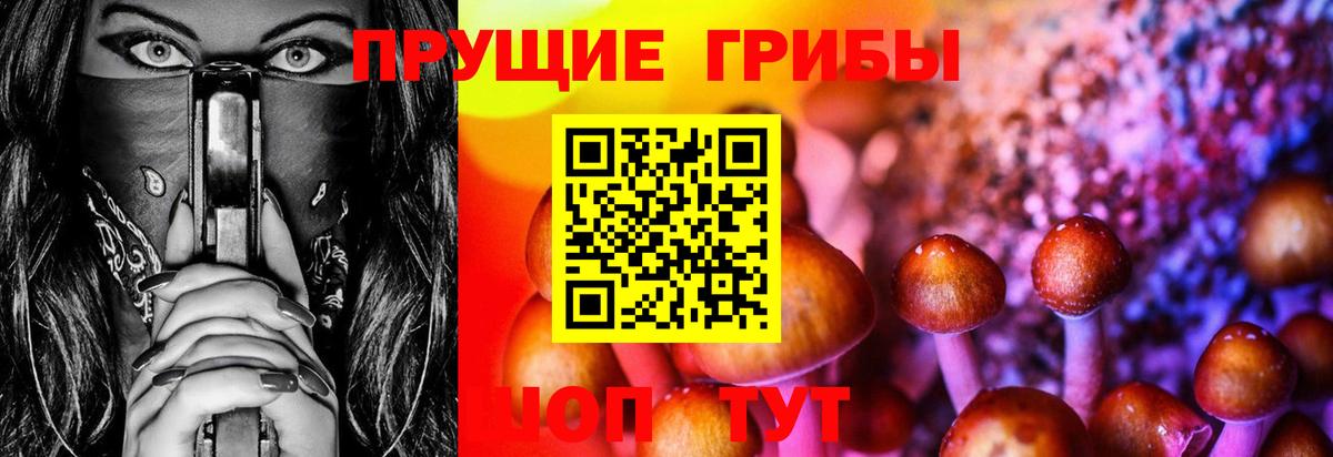 Бутурлиновка  Псилоцибиновые грибы Magic Shrooms  Вход с VPN 